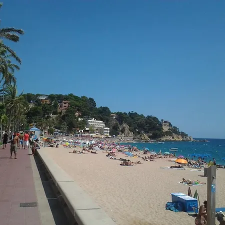 Linda Lloret